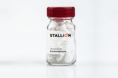 Stallion-Enclo-scaled-e1773686821552